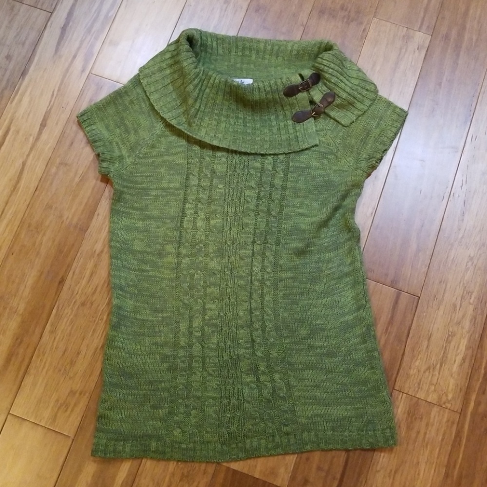 Isela short sleeve knit sweater dress